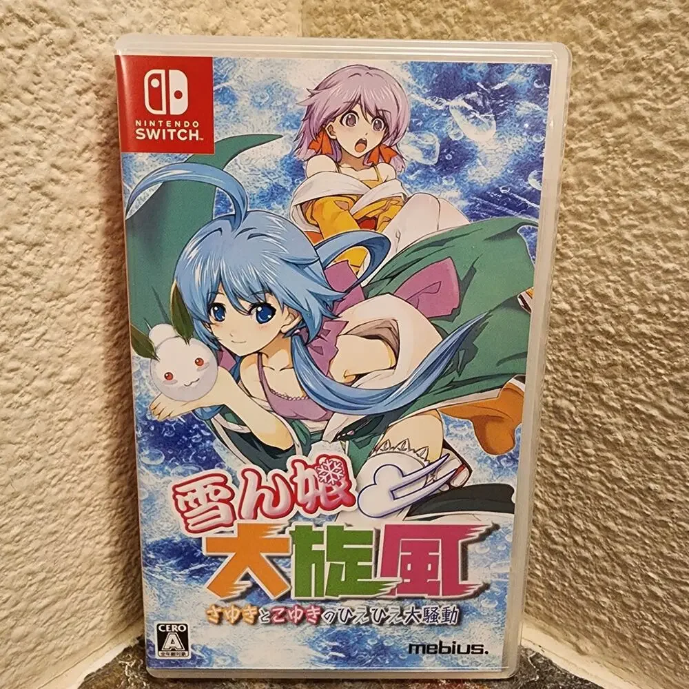 Game - Snow Battle Princess Sayuki (CIB) - Switch [JAP Import]